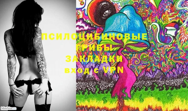 метадон Горняк