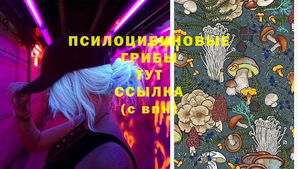 метадон Горняк