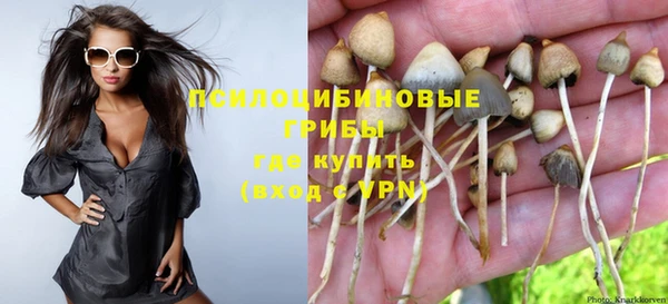 метадон Горняк
