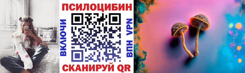 где купить наркотик  ссылка на мегу ссылки  Галлюциногенные грибы прущие грибы  Артём 